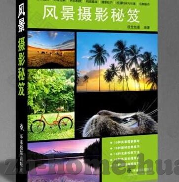 百家乐三株路技巧打法-百家乐三株路技巧打法，提升胜率的策略