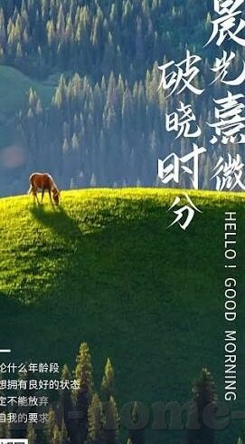 体彩足球比分点球-体彩足球比分中的点球，悬念、策略与心理博弈的终极战场