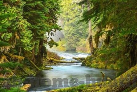 足球一比分-足球比分背后的激情与策略，一场比赛的无限可能